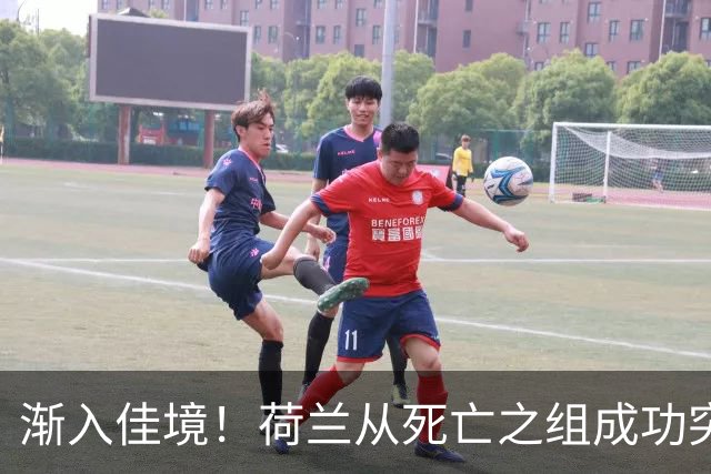 渐入佳境！荷兰从死亡之组成功突围 淘汰赛挑战与机遇并存